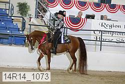 14r14_1073 proof