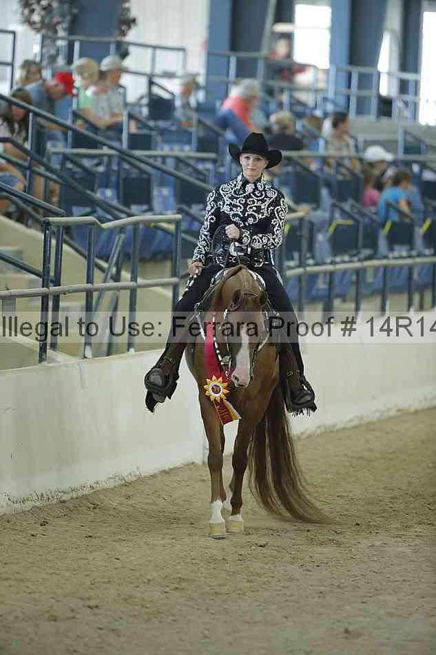 Proof 14r14_1075