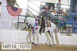 14r14_1076 proof