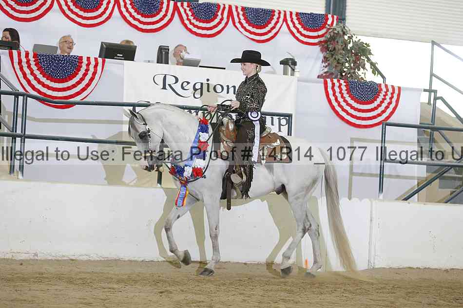 Proof 14r14_1077