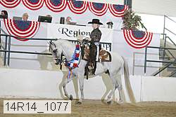 14r14_1077 proof