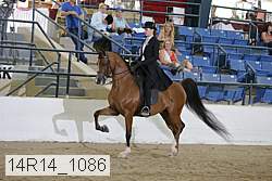 14r14_1086 proof