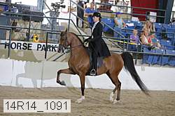 14r14_1091 proof