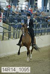 14r14_1095 proof