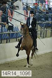 14r14_1096 proof