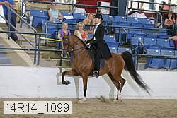 14r14_1099 proof