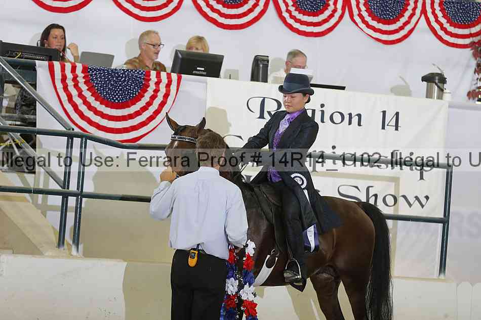 Proof 14r14_1102