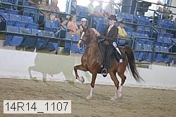 14r14_1107 proof