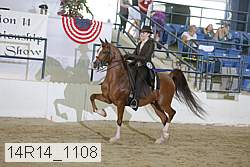 14r14_1108 proof