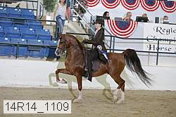 14r14_1109 proof