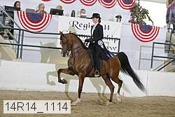 14r14_1114 proof