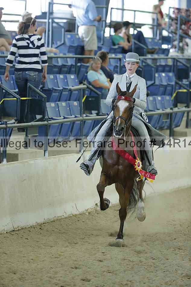 Proof 14r14_1122