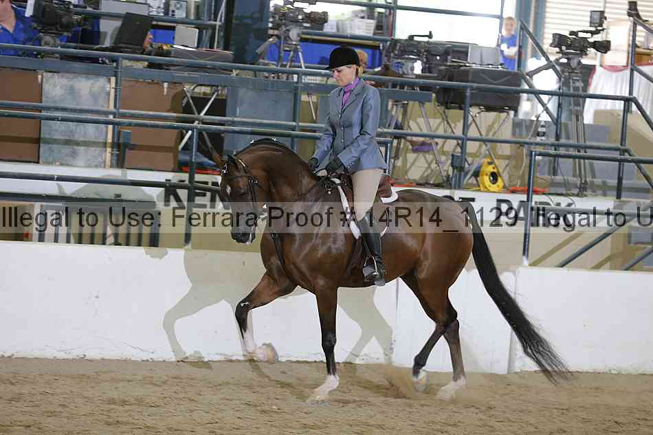 Proof 14r14_1129
