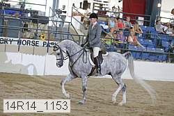 14r14_1153 proof