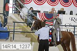 14r14_1237 proof