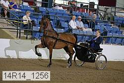 14r14_1256 proof