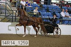 14r14_1259 proof