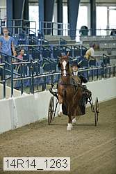 14r14_1263 proof