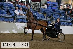 14r14_1264 proof