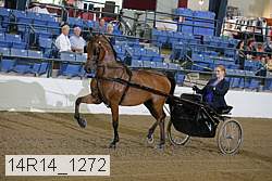14r14_1272 proof