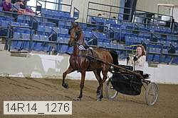 14r14_1276 proof