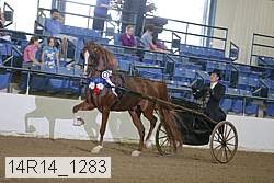 14r14_1283 proof