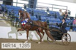 14r14_1285 proof