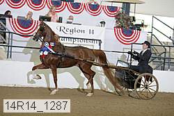14r14_1287 proof