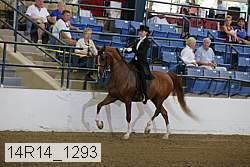 14r14_1293 proof