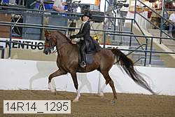 14r14_1295 proof