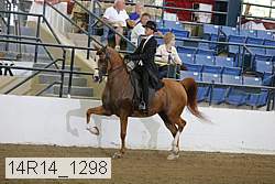 14r14_1298 proof