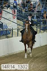 14r14_1302 proof