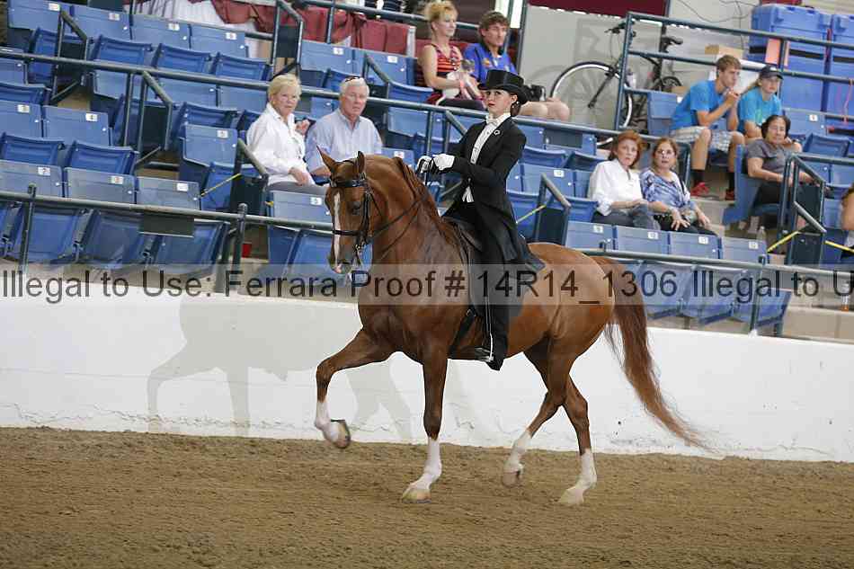 Proof 14r14_1306