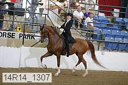 14r14_1307 proof