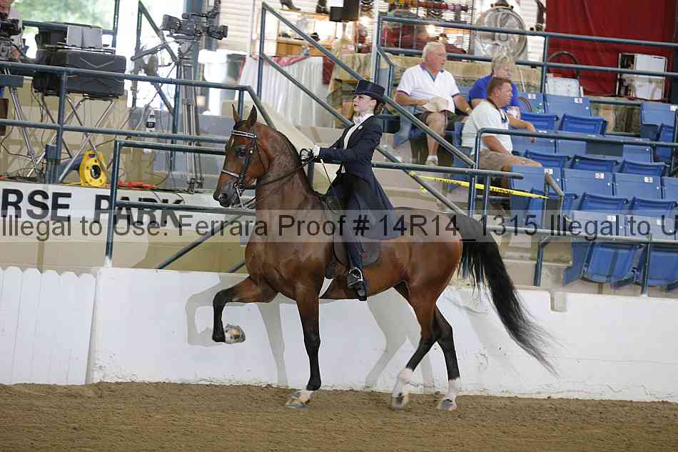 Proof 14r14_1315