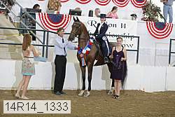 14r14_1333 proof