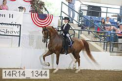 14r14_1344 proof
