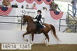 14r14_1345 proof