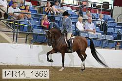 14r14_1369 proof