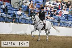 14r14_1370 proof