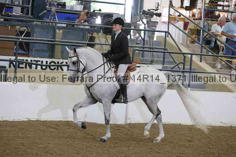 Proof 14r14_1371