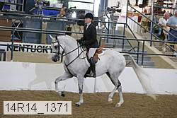 14r14_1371 proof