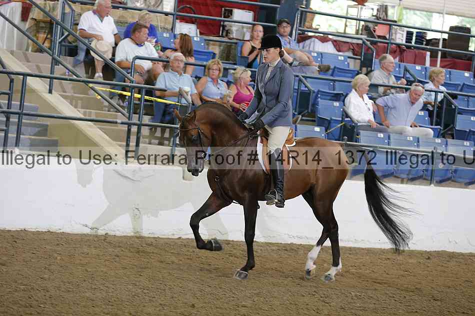 Proof 14r14_1372