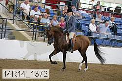 14r14_1372 proof