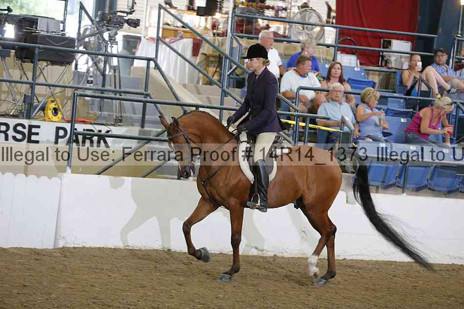 Proof 14r14_1373