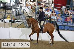 14r14_1373 proof