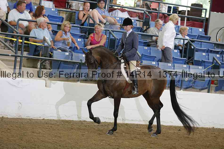 Proof 14r14_1374