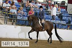 14r14_1374 proof