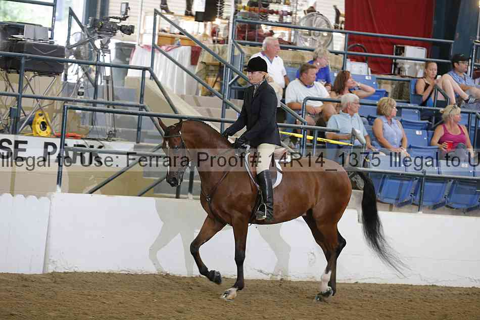 Proof 14r14_1375