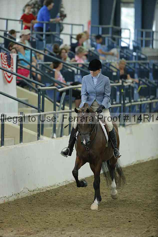 Proof 14r14_1376